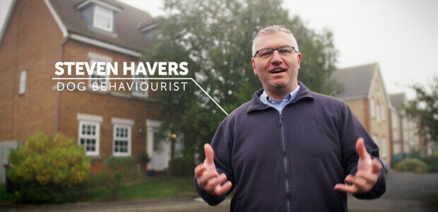Photo of Steve Havers the dog behaviourist