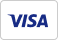 Visa payment logo